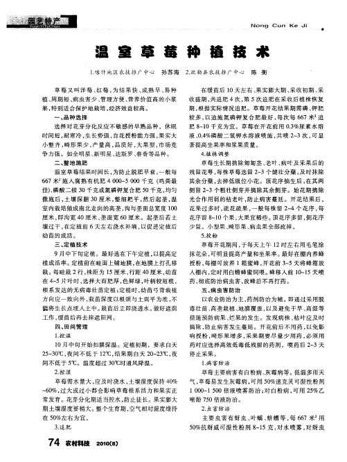 温室草莓种植技术
