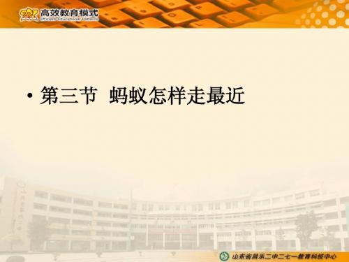 第3节  蚂蚁怎么走最近