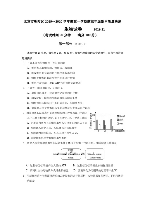 北京市朝阳区2019-2020学年高三生物期中质量检测 生物 含答案