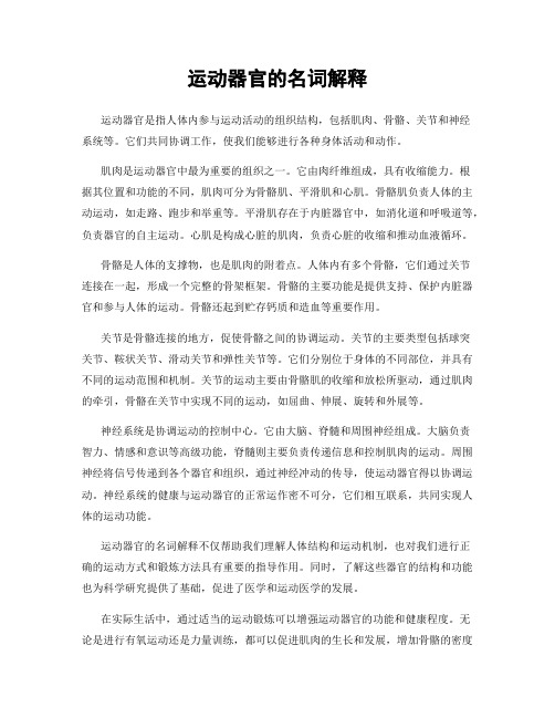 运动器官的名词解释
