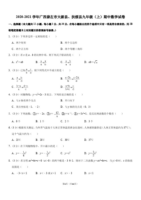 2020-2021学年广西崇左市大新县、扶绥县九年级(上)期中数学试卷