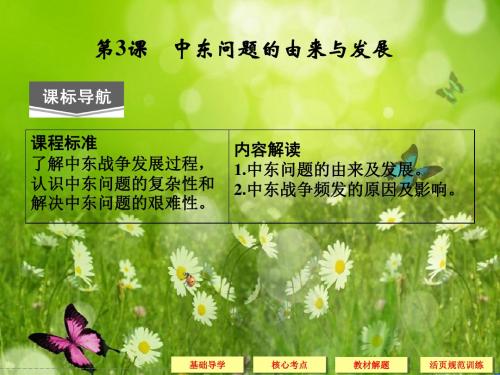 高考历史复习配套课件 人教版选修3  第五单元 烽火连绵的局部战争 5-3[ 高考]