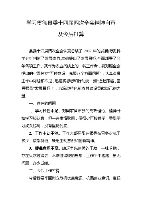 学习贯彻县委十四届四次全会精神自查