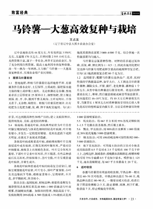马铃薯-大葱高效复种与栽培