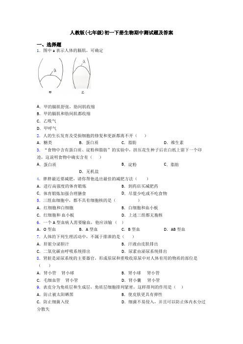 人教版(七年级)初一下册生物期中测试题及答案