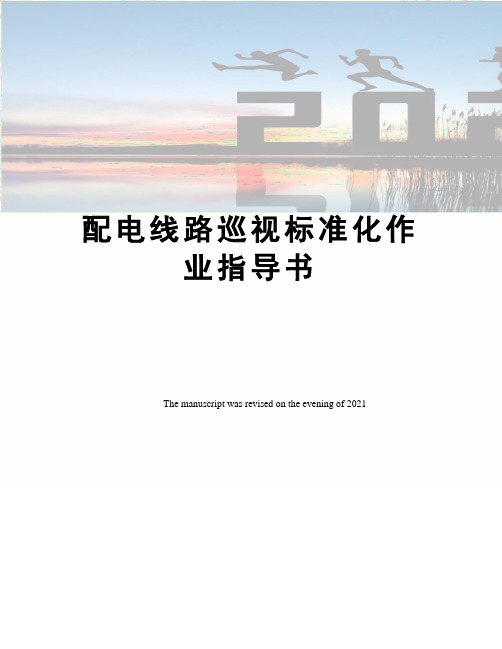 配电线路巡视标准化作业指导书