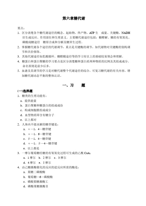 06  第六章  糖代谢 华中农业大学微生物考研生物化学