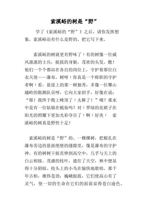 索溪峪的树是“野”