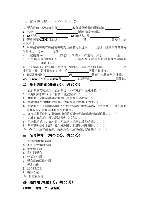 试卷11