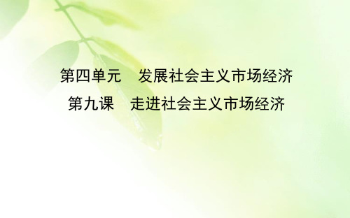 2021版新高考选考政治一轮复习人教版广东专用课件：经济生活 第四单元 第九课 走进社会主义市场经济