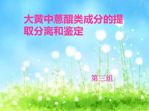 大黄鉴定1