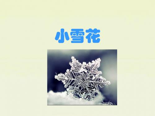 课文4 10《小雪花》课件1