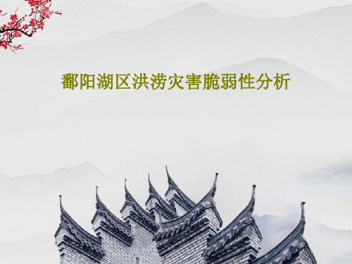 鄱阳湖区洪涝灾害脆弱性分析PPT72页