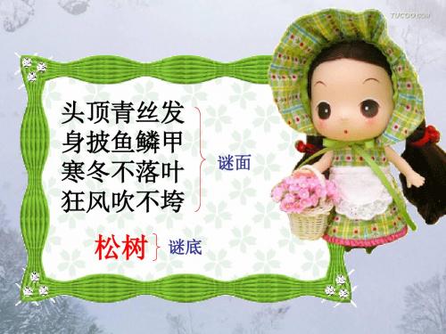 17《山谷中的谜底》课件