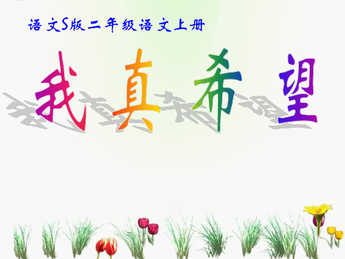 二年级语文课件-s版二上我真希望课件 最新