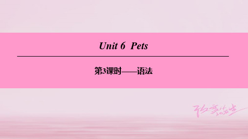 八年级英语下册Unit6Pets第3课时语法课件牛津深圳版