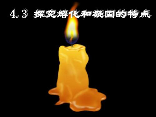 4.3探究熔化和凝固的特点(精品).