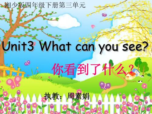 公开课Unit_3_What_can_you_see课件