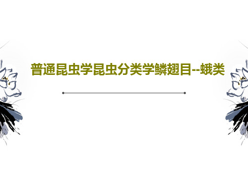 普通昆虫学昆虫分类学鳞翅目--蛾类42页PPT