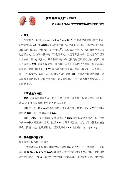 视黄醇结合蛋白产品推荐书