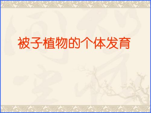 被子植物的个体发育