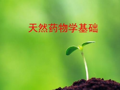 天然药物学基础绪论PPT课件