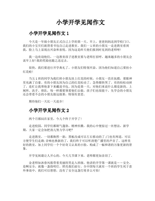 小学开学见闻作文