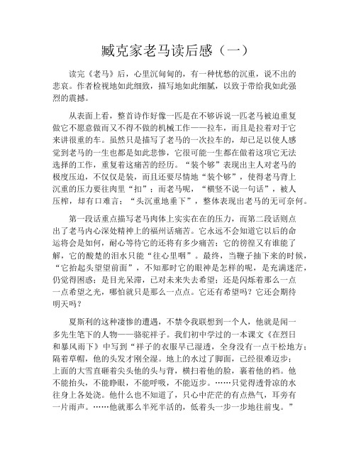 臧克家老马读后感(一)