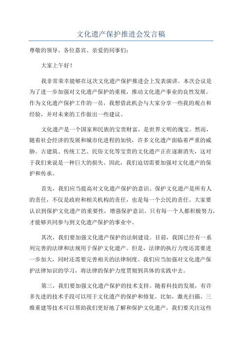 文化遗产保护推进会发言稿