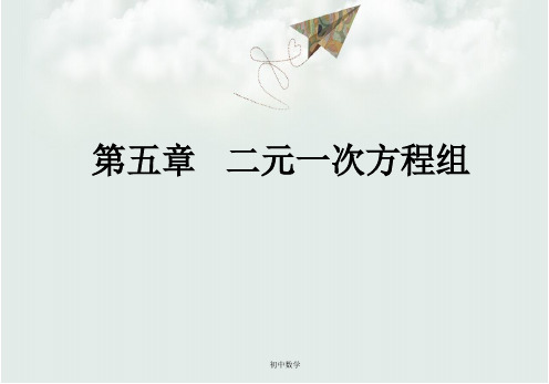北师大版八年级数学上册《二元一次方程组》复习课件