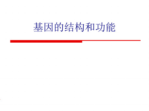 基因的结构和功能PPT优质课件