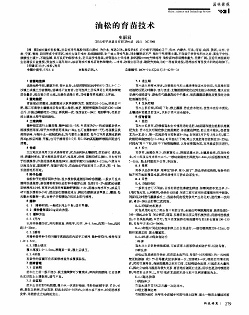 油松的育苗技术