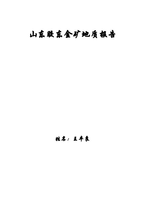 山东胶东金矿地质报告-王丰良