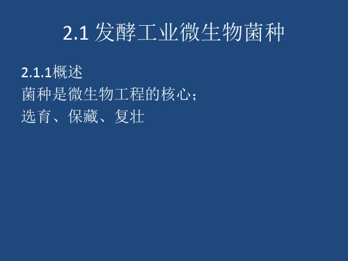 微生物工程发酵二菌种制备原理与技术精品PPT课件