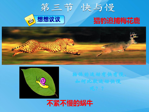 八年级物理2.3快与慢ppt课件(沪科版)物理课件PPT