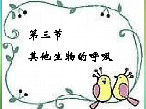北京版生物七年级下册其他生物的呼吸3