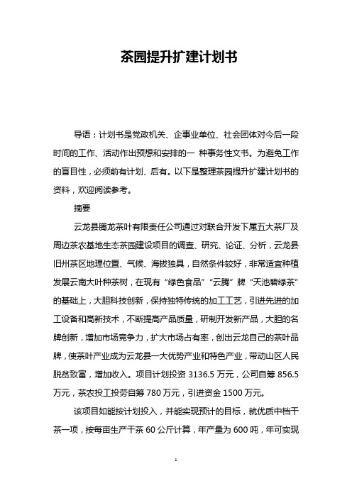 茶园提升扩建计划书
