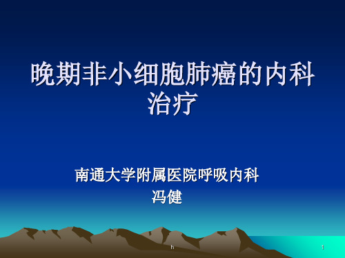 晚期非小细胞肺癌的内科治疗进展