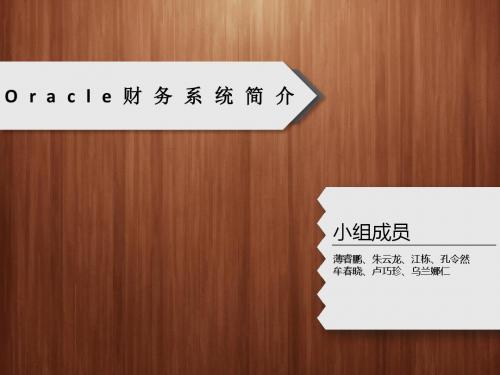 Oracle财务软件