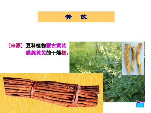黄芪