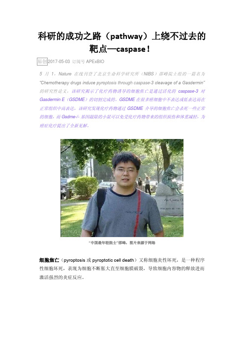 科研的成功之路(pathway)上绕不过去的靶点—caspase!