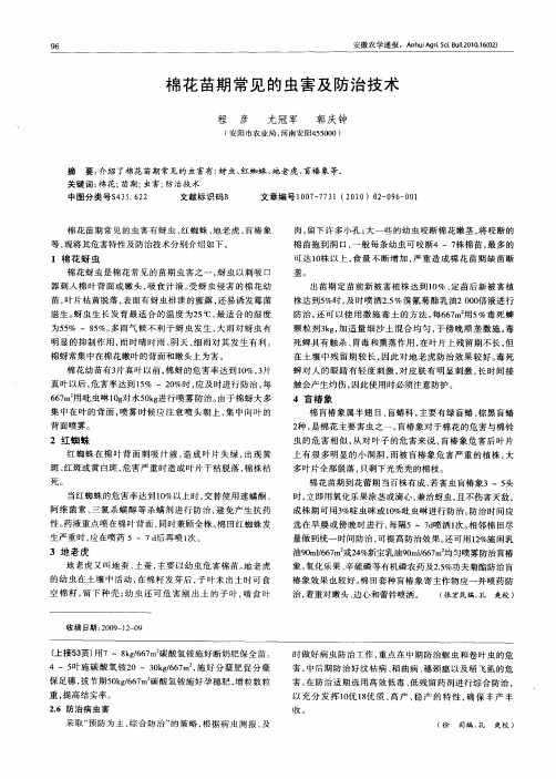棉花苗期常见的虫害及防治技术