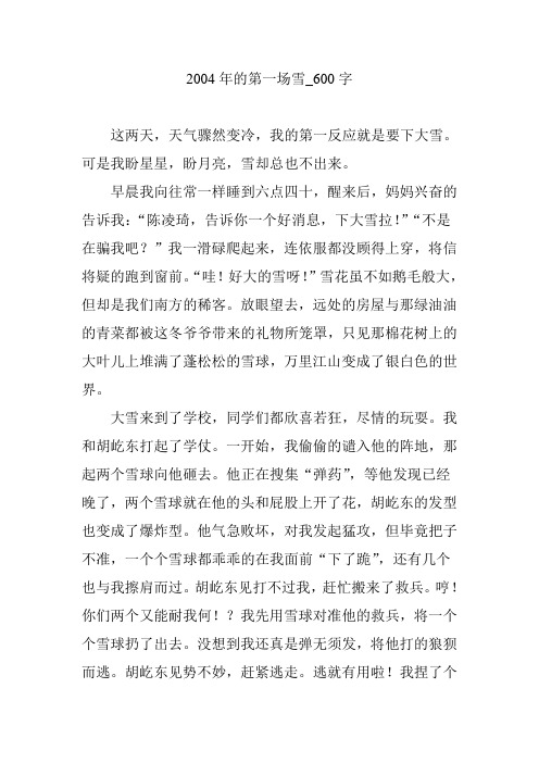 2004年的第一场雪_600字