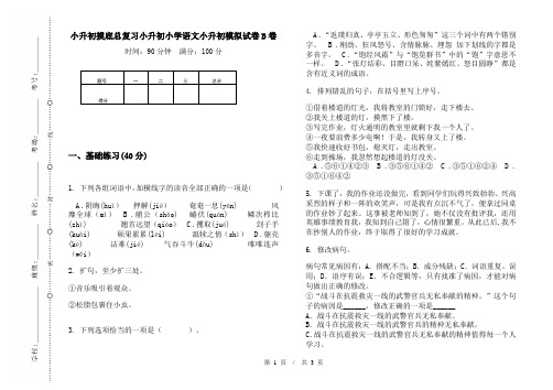 小升初摸底总复习小升初小学语文小升初模拟试卷B卷