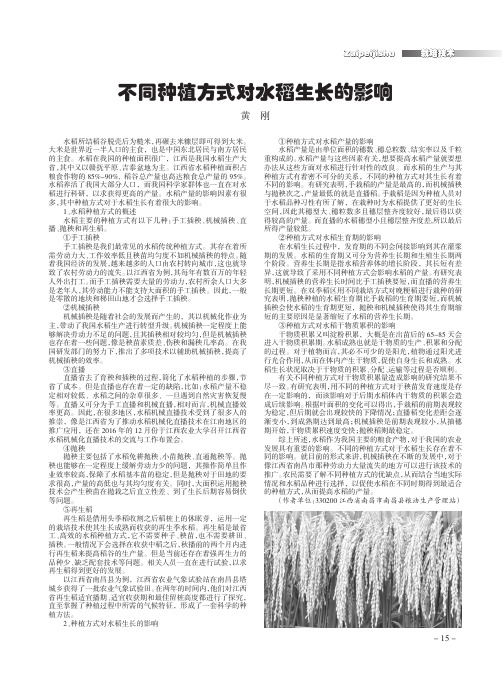 不同种植方式对水稻生长的影响