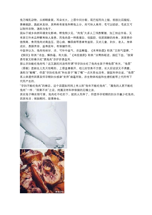 孕妇能吃兔肉吗？