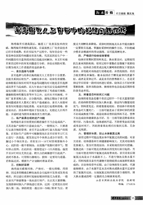 海湾扇贝人工育苗中的关键问题探析