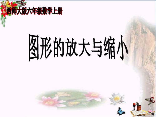 小学六年级上册数学图形的放大与缩小精品课件 