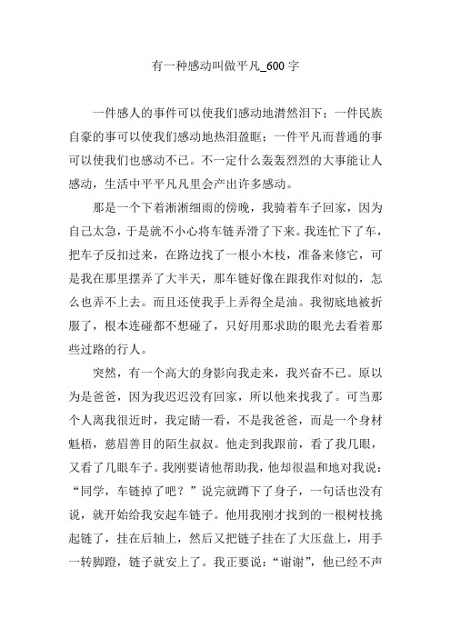 有一种感动叫做平凡_600字