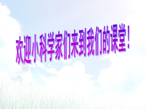 小学四年级科学 岩石观察记录表